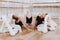 Ballet Training of Group of Young Girls on Floor.