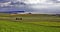 Ballintoy Church of Ireland in green fields above the Antrim Coast