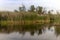 Ballona wetlands glassy water scene