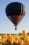 Balloon Above Tulip Fields