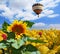 The balloon flies over the kibbutz field.