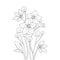 Balloon flower coloring page line art with blooming petals and leaves illustration