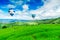 Balloon flying on rice field, Rice field in mountain or rice terrace in the nature, Relax day in beautiful location