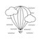 Balloon flying in the sky among the clouds. Aerostat.