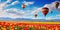 Balloon Tourism, Air Balloons in Sky, Tulip Flower Fields Landscape and Ballooning,