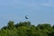 A balloon with tourists over the Tiergarten city park in the center of Berlin.