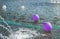 Balloons float on the surface of the water