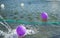 Balloons float on the surface of the water