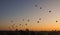 Balloons flying over Dhammayangyi Temple in Bagan Myanmar, Ballooning over Bagan is one of the most memorable action for tourists