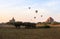 Balloons over Bagan at sunrise with horses