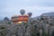 Balloons rising between the cappadocia pillars