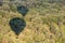 Balloons shadows are flying over green treetops of a thicket