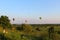 Balloons in the sky, Nowa Huta, Poland.