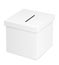 Ballot box for election voting vector illustration