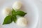 Balls Mozzarella and basil leaf green on white background