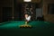 Balls and Snooker Player, man playing pool