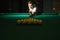 Balls and Snooker Player, man playing pool