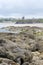 Ballybunion castle seaweed covered rocks view