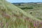 Balmedie country park, a well-preserved natural coastal area near Aberdeen (Scotland)