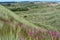 Balmedie country park, a well-preserved natural coastal area near Aberdeen (Scotland)