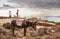 Balos beach and donkey in Crete. Mediterranean landscape. Greece