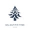 balsam fir tree icon in trendy design style. balsam fir tree icon isolated on white background. balsam fir tree vector icon simple