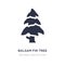 balsam fir tree icon on white background. Simple element illustration from Nature concept