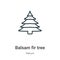 Balsam fir tree outline vector icon. Thin line black balsam fir tree icon, flat vector simple element illustration from editable