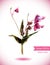 Balsam flower - jewelweed. Watercolor vector