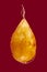 Baltic amber closeup on red background