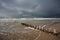 Baltic Beach with Wooden Pales