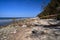 Baltic sea coast with sandy beach and cliff overgrown with trees on Wolin island