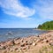 Baltic sea coast in summer. Square landscape