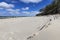 Baltic sea. Curonian spit. Sandy beach. Footprints in the sand.