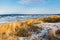 Baltic sea with golden dune grass