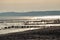 Baltic Sea in Poland, beach of Ustka