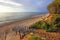 Baltic Sea shore wooded cliff and beach during colorful sunset