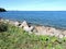 Baltic sea, stones and plants  in summer Tallinn