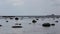 Baltic Sea with stones, sea gulls and a fishing boat