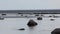 Baltic Sea with stones, sea gulls and a fishing boat