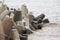 Baltic sea waves hitting stone blocks near path to ship lighthouse. Path located near Ventpils Docks