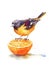 Baltimore Oriole Watercolor Bird Sitting on the Half Orange Illustration Hand Drawn on white background