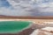 Baltinache Salty Lagoon Atacama Desert Chile