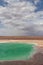 Baltinache Salty Lagoon Atacama Desert Chile