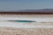 Baltinache Salty Lagoon Atacama Desert Chile