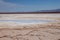 Baltinache Salty Lagoon Atacama Desert Chile