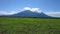 Baluran Savana Forest in Situbondo