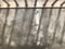 Baluster bar and small tree leaves` shadows shine on gray cement