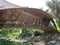 Bambo Bridge Across the River, Bridge Made from Bamboo