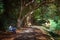 Bamboo alley, walk path and bench in Royal Botanic King Gardens. Peradeniya. Kandy. Sri Lanka.